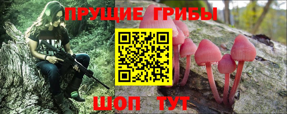 Галлюциногенные грибы Psilocybine cubensis Бугуруслан