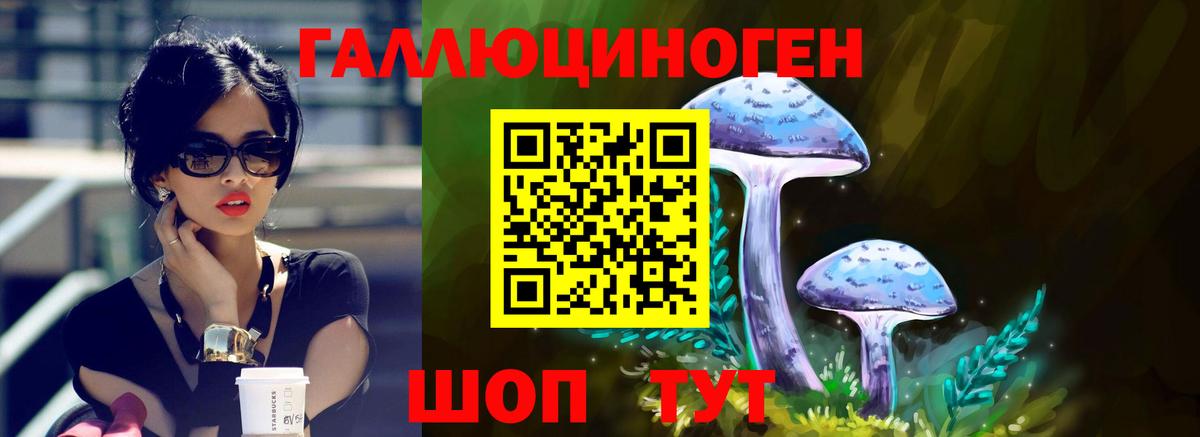 Бугуруслан  Псилоцибиновые грибы Psilocybe  Вход с VPN  Галлюциногенные грибы мицелий 